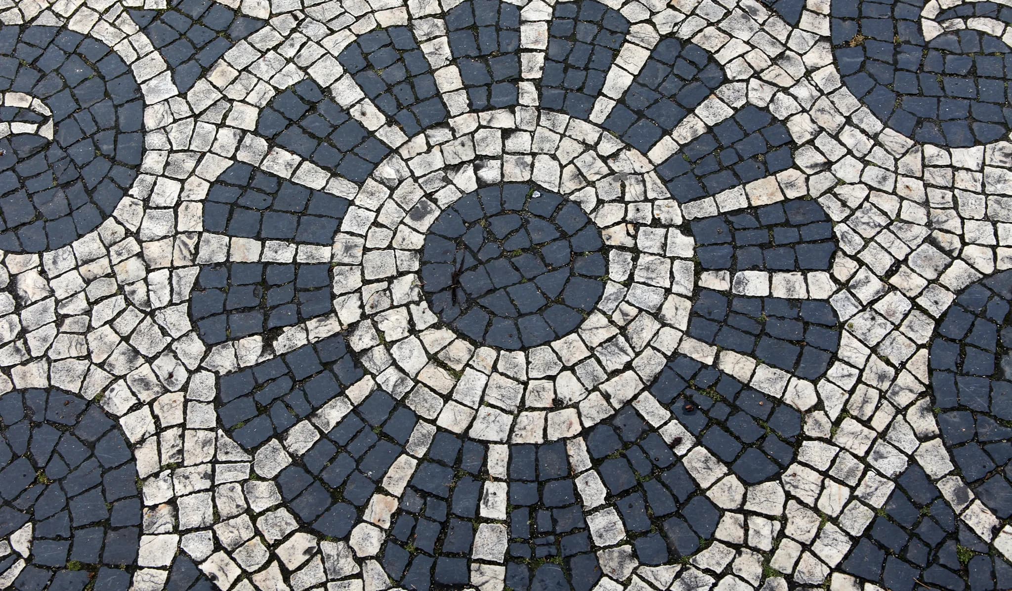 Pormenor de um desenho circular de calçada em pedra branca e preta, com cada peça cortada e assente à mão
